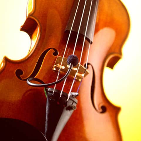 LCM 110 HL violin / strings